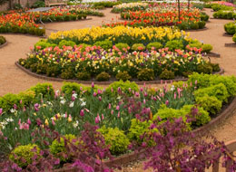 Paul J. Ciener Botanical Garden